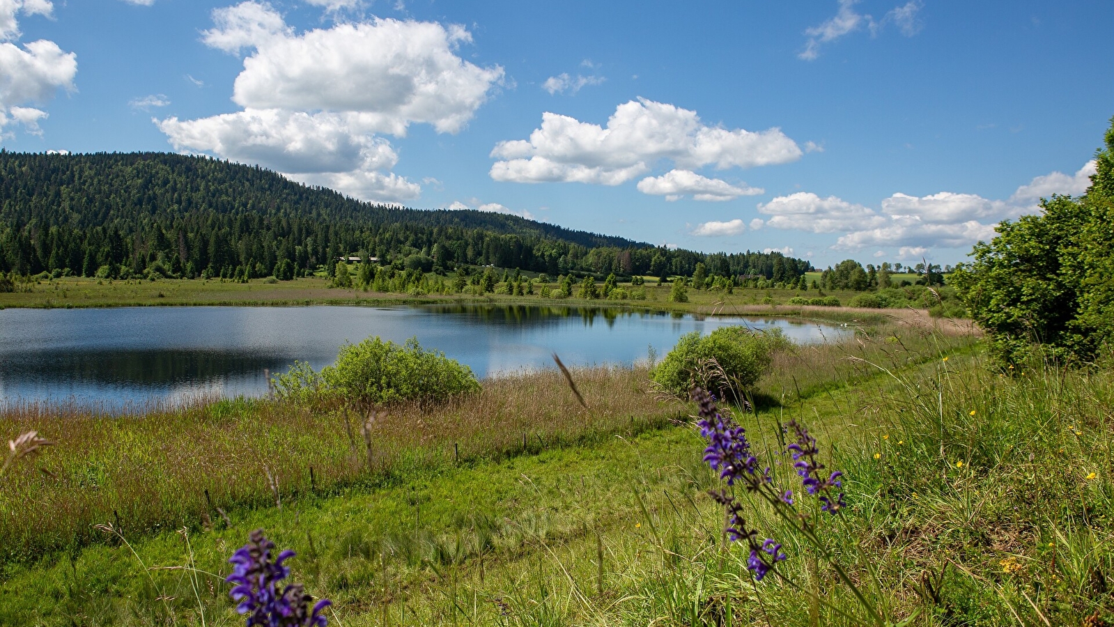 La Bique du Mont-Noir - 20N