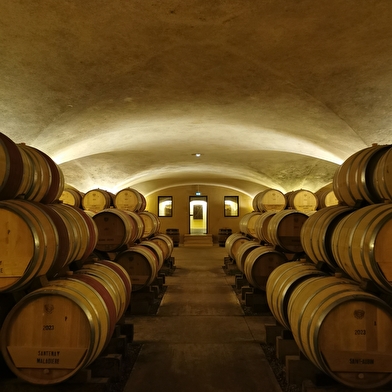 Soirée Primeurs, découvrir le millésime 2025