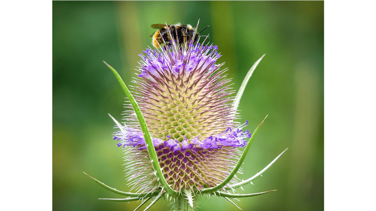 Boucle cyclo 11 'Forêts, prairies et vallons'