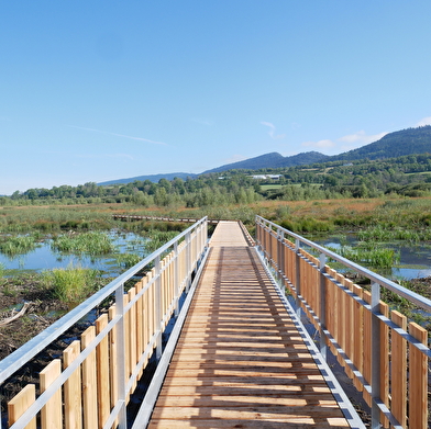 La forêt des Dergis - Parcours marche nordique n°12