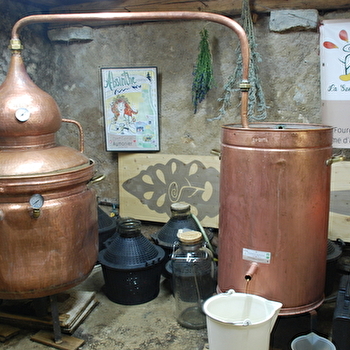Distillerie Aymonier - La Semilla - LES FOURGS