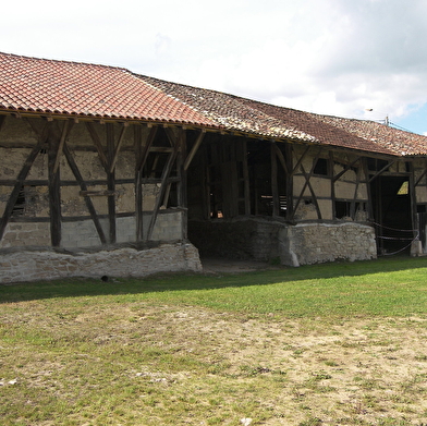 Boucle vélo loisirs de l'Ain à vélo : Circuit des maraîchers