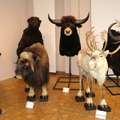 Museum d'Histoire Naturelle Jacques de La Comble