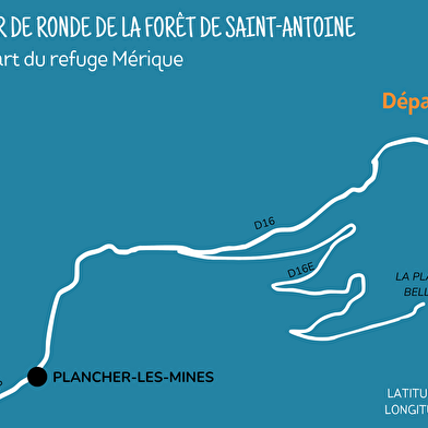 RANDONNÉE - LA RONDE DE LA FORET DOMANIALE DE