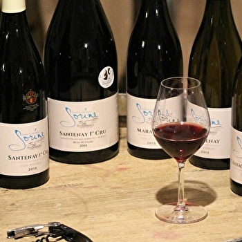 Sorine et Fils - CHEILLY-LES-MARANGES