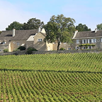 Domaine du Cellier aux Moines - GIVRY