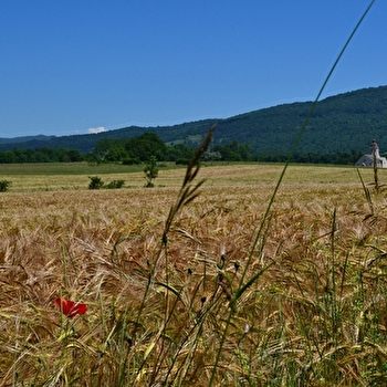 La Valousienne - 52N - ARINTHOD