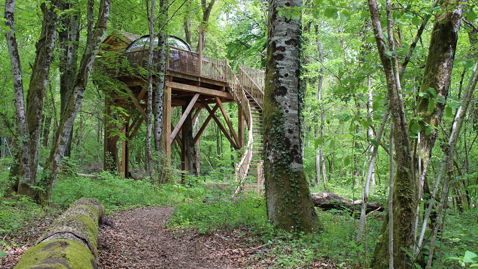 DOME PERCHE SPA - Domaine de la Combe Rossignol