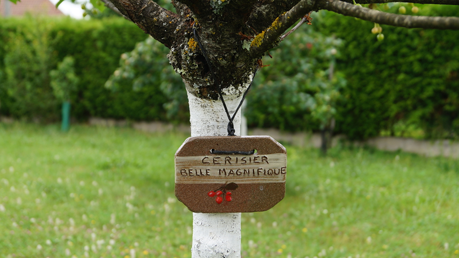 Verger Conservatoire