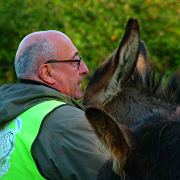 Médiation asine avec Donkey'Âne - SAINT-GERMAIN-LE-ROCHEUX