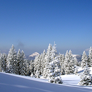 Site Nordique du Haut Saugeais Blanc - PAYS-DE-MONTBENOIT