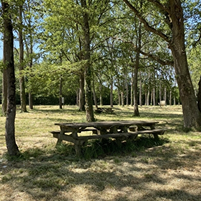Aire de pique-nique de la voie verte