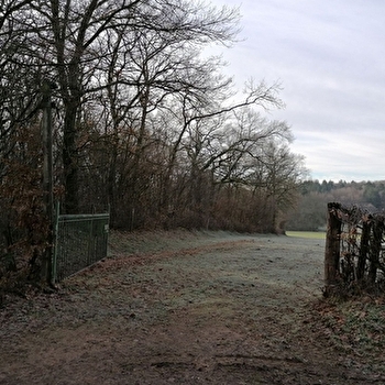 Lieu de parachutage - Seconde Guerre mondiale - OUDRY