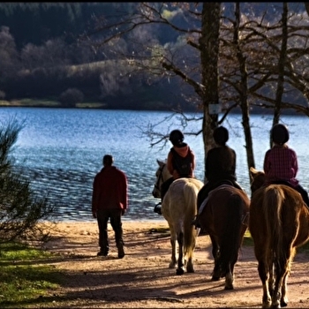 Majaz'L - Centre Equestre du Bois du Loup - SAINT-AGNAN
