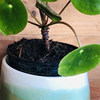 Atelier d'AR  - CLERY