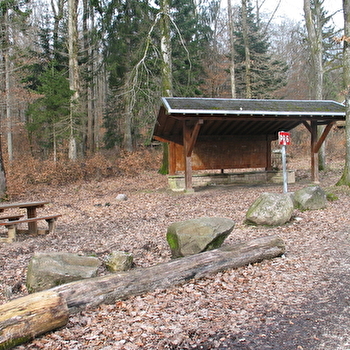 Aire de pique-nique de la forêt du Banney - LUXEUIL-LES-BAINS