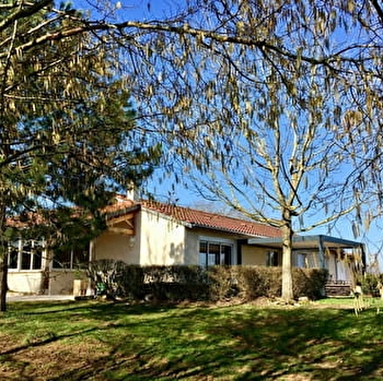 le Petit Midi - CLUNY