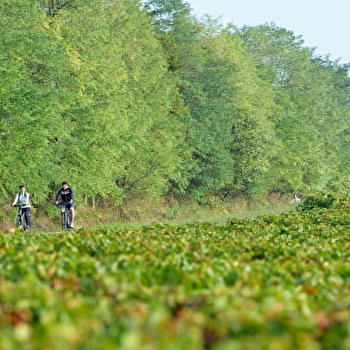 Boucle 6 : Boucle de la pléiade - SAINT-BOIL