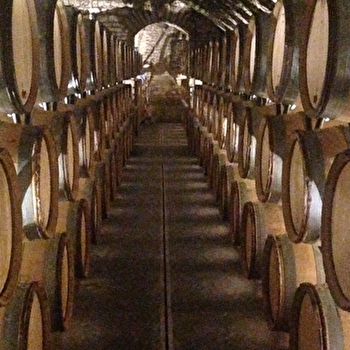 Caillot Michel - MEURSAULT