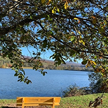 Gite l'Orière des Bois - RONCHAMP