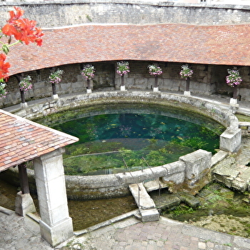 La Fosse Dionne - TONNERRE