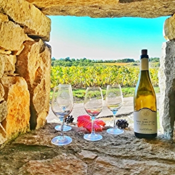 Active Tours Dijon - DIJON