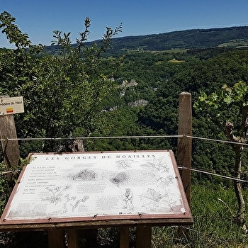 Point de vue du Moine - RENEDALE