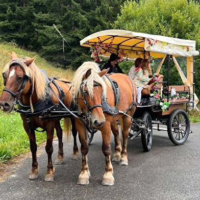 La calèche des Chauvins