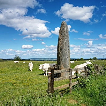 Menhirs d'Epoigny - COUCHES