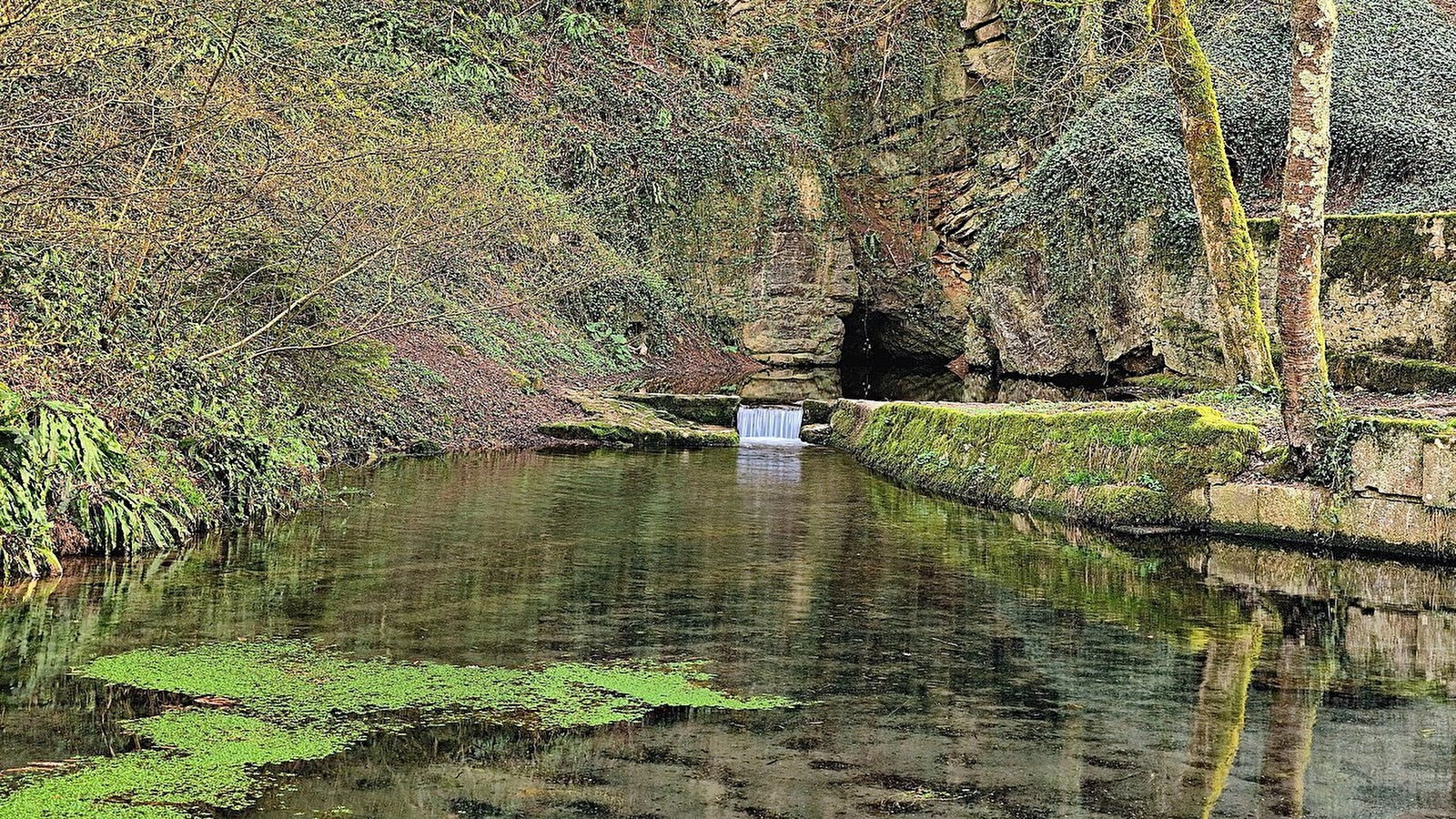 La Foulotière - 104R