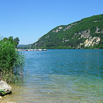 Parcours VTT 65 bleu - Plaine de Saint Martin - Espace FFC Ain Forestière - NANTUA