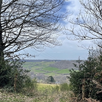 Chemin des chétifs bois - SAINT-ROMAIN-SOUS-GOURDON