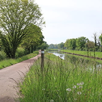  Circuit de randonnée Entre Loire et Canal - LUTHENAY-UXELOUP