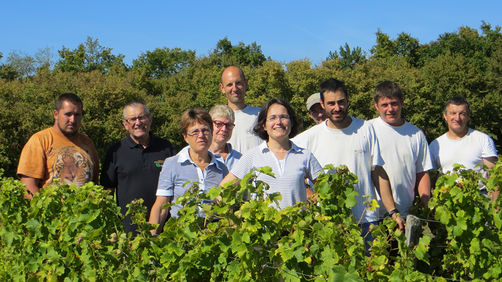 Domaine Masson Blondelet