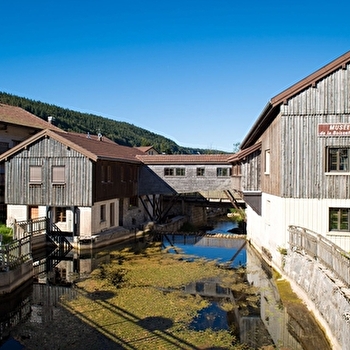 La forêt du Risoux - BOIS-D'AMONT