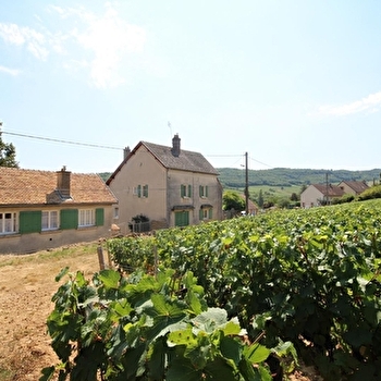 Gîte de l'Orbize - SAINT-JEAN-DE-VAUX