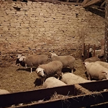 La Bergerie des Hirondelles - BURGILLE