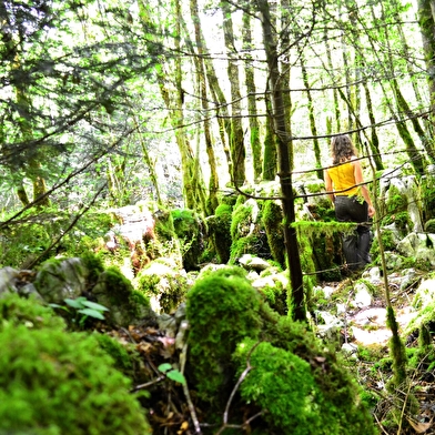 Le Sentier karstique des Malrochers