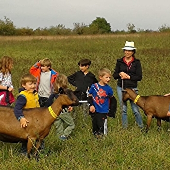 Atelier biquette et fabrication de faisselle - SAINT-BRIS-LE-VINEUX