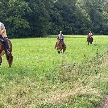 Équitation Passion - CHEVREMONT