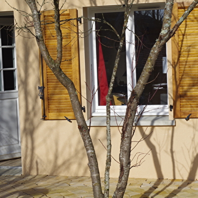 Accueil Sitio - Gîte Bethléem