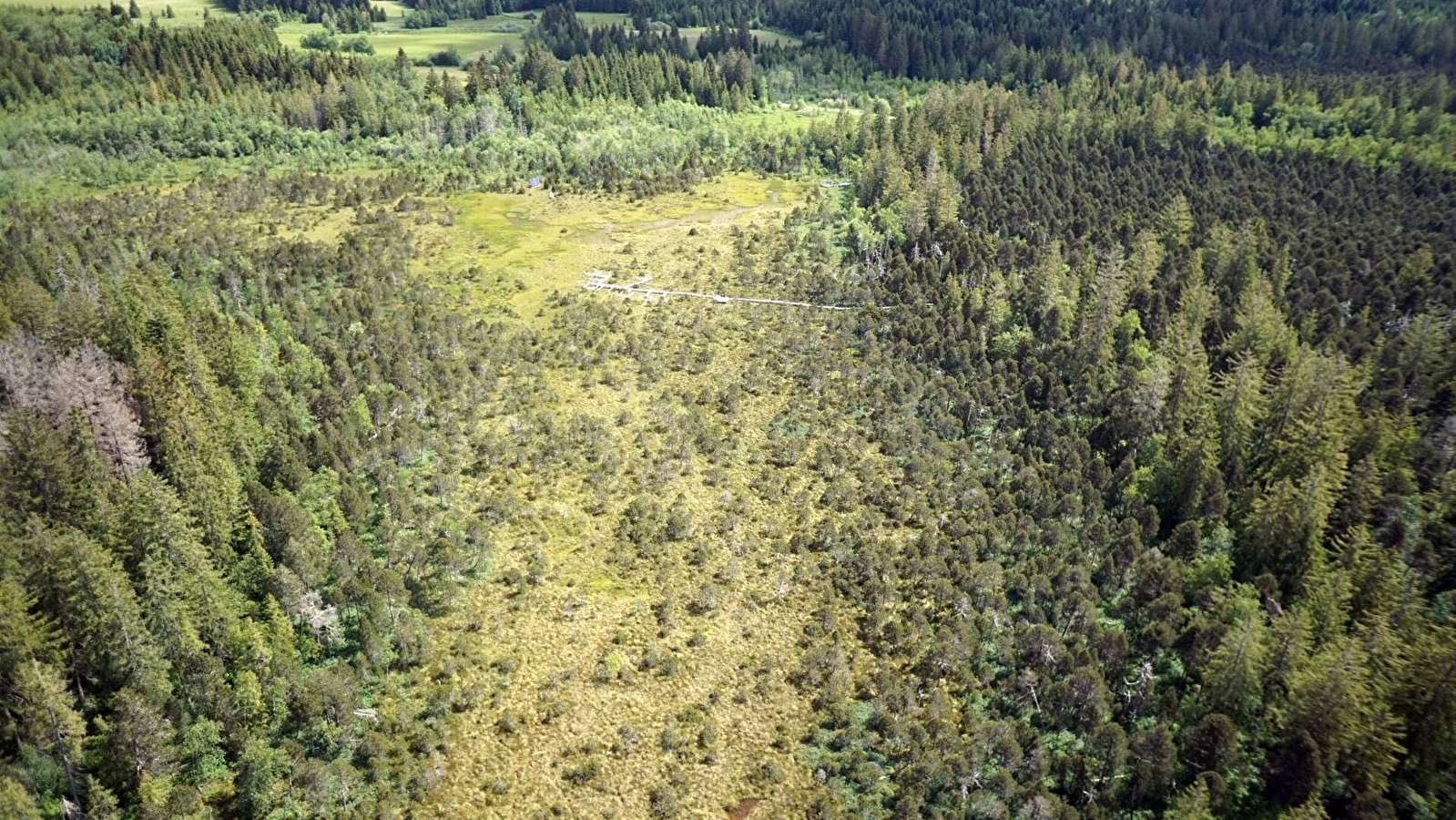 Conférence Marc-André Sélosse et les mystères du sol