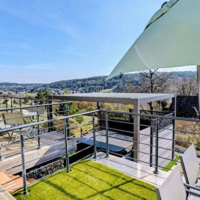 Savigny Vineyard View