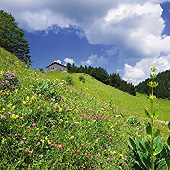 Le Doux Jura - 30N - CERNIEBAUD