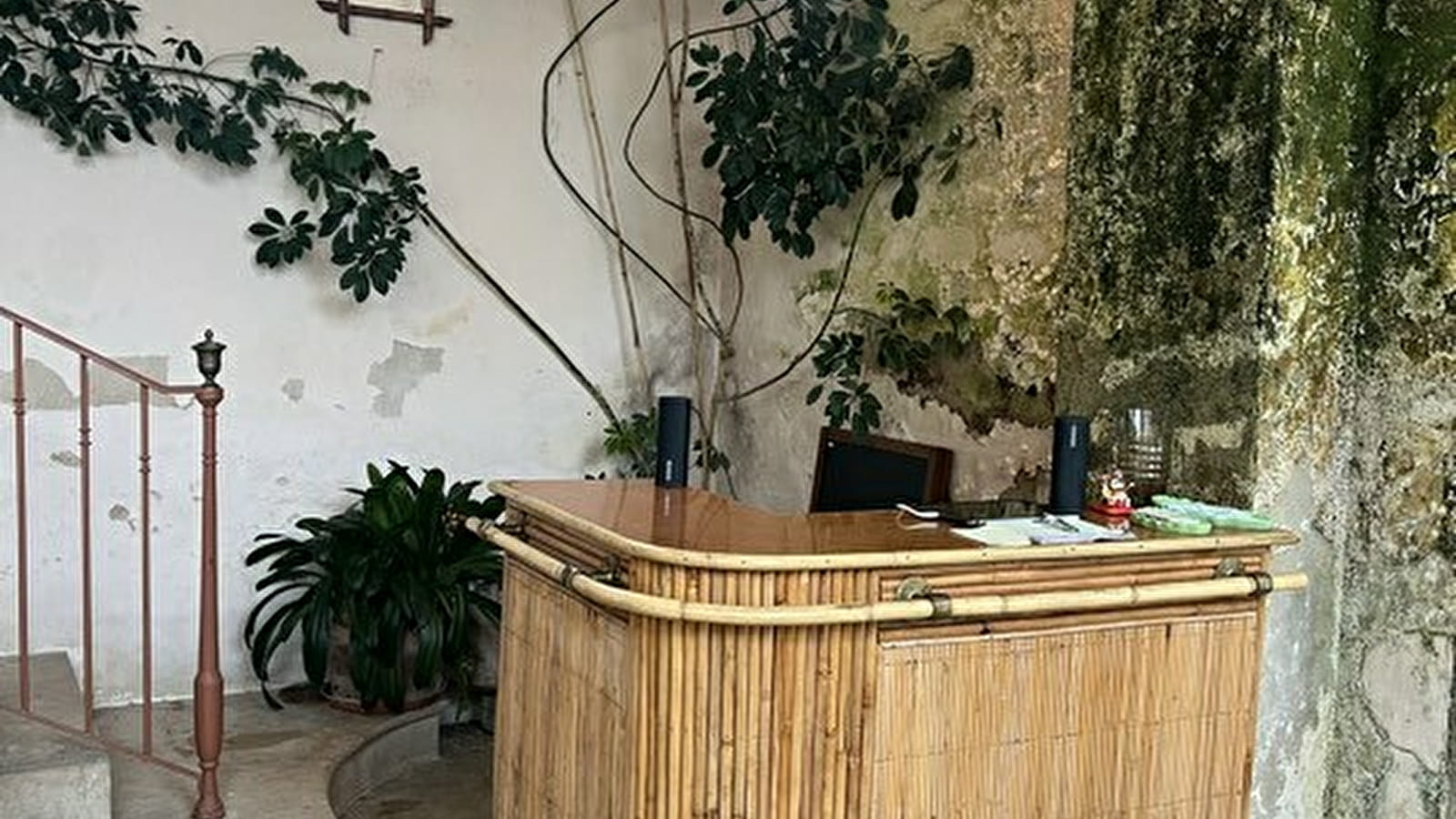 Restaurant éphémère au Domaine Chandon de Briailles