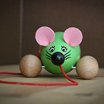 La Souris Verte - MOLAMBOZ