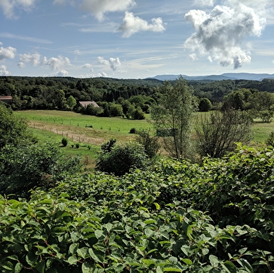 Boucle cyclable n°4 - La Mer