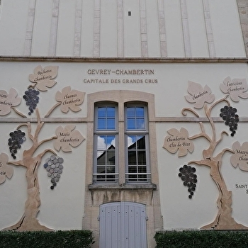 Balade à Gevrey-Chambertin - GEVREY-CHAMBERTIN