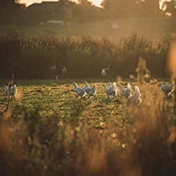 Ferme Le Devant - LA CHAPELLE-NAUDE