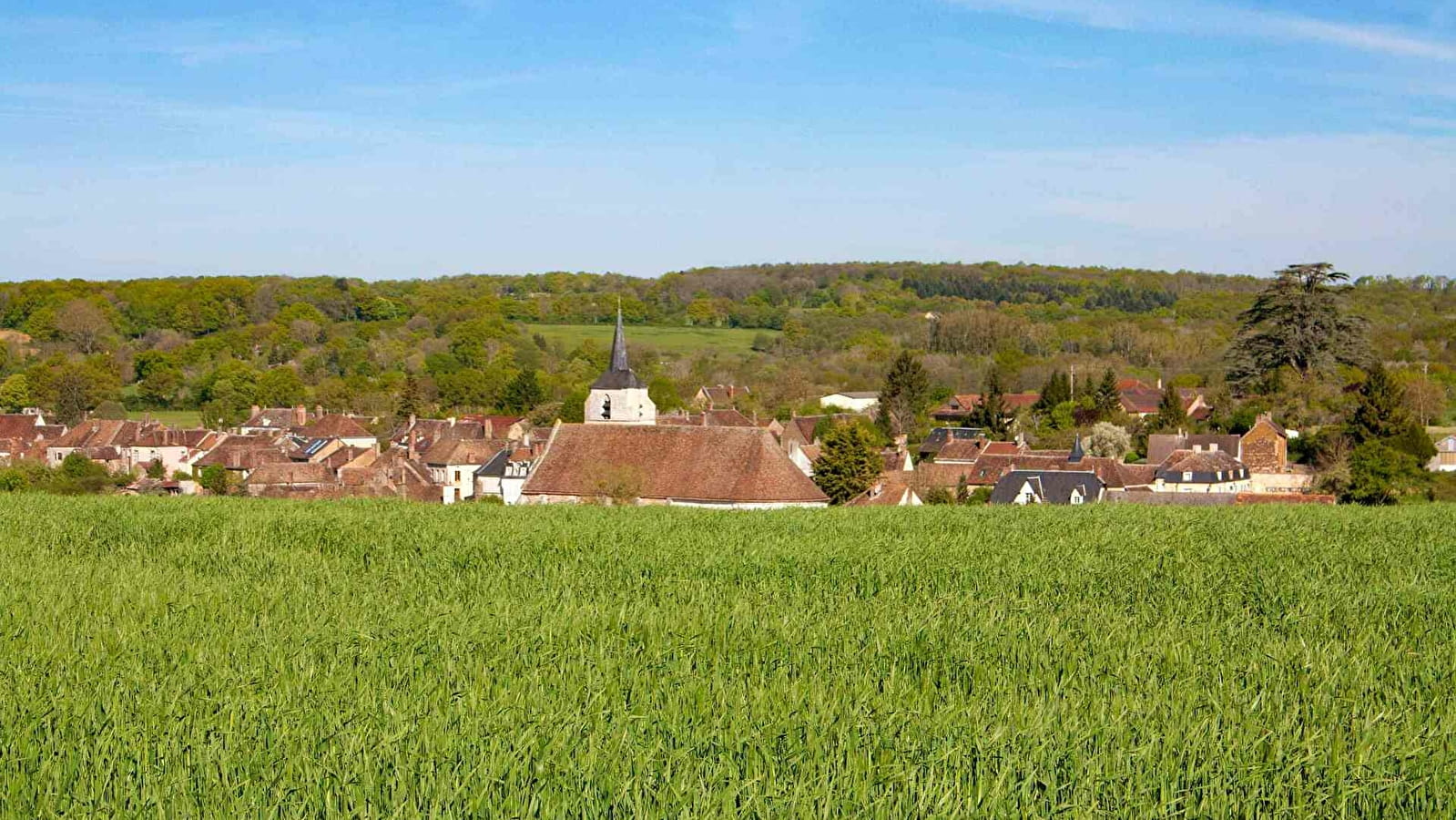 Regard sur la Forterre